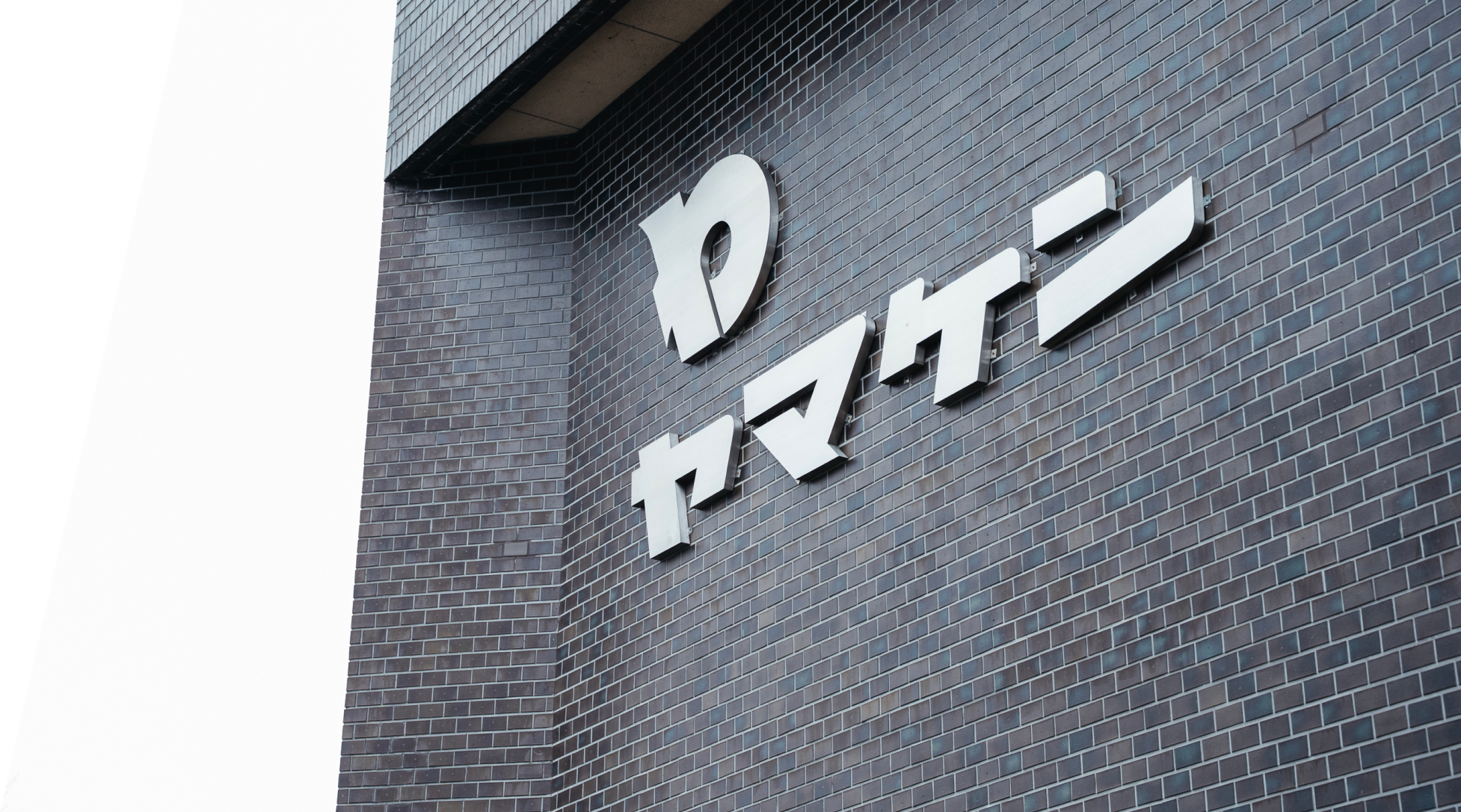 会社情報のイメージ